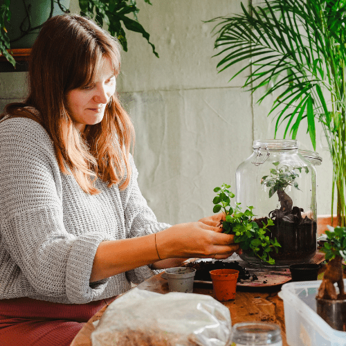 terrarium workshop at SERRA Brussels, team buidling activity in the centre of Brussels